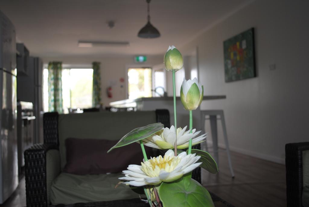 Padthaway Caravan Park Εξωτερικό φωτογραφία